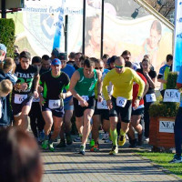 Aquathlon 2013 - rezultate